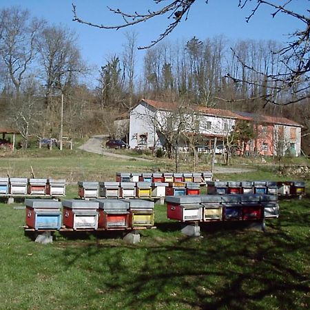 Agriturismo Ca Rossano Villa Licciana Nardi Buitenkant foto