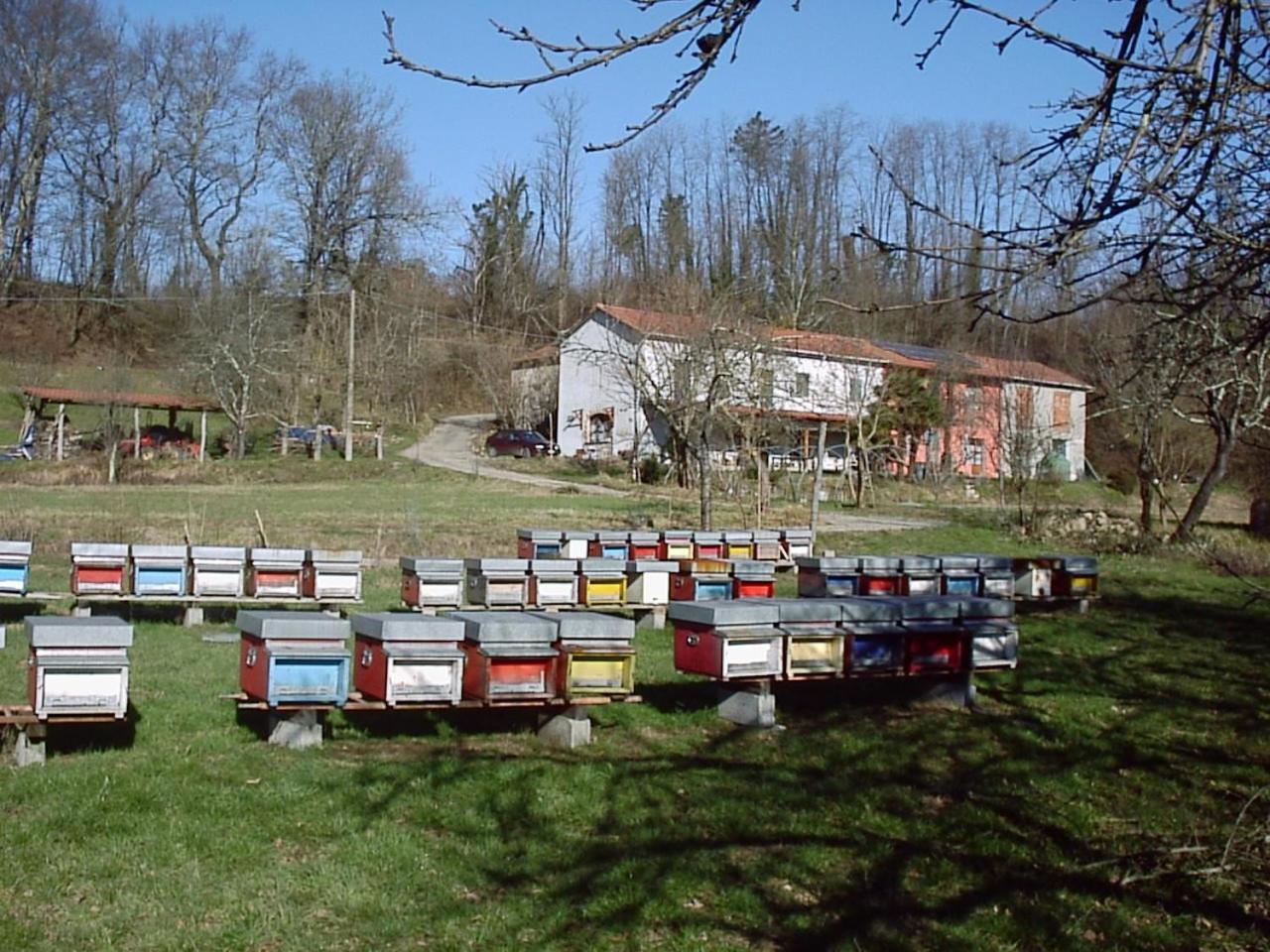 Agriturismo Ca Rossano Villa Licciana Nardi Buitenkant foto